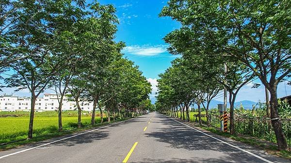 後壁、白河｜市道172甲.jpg