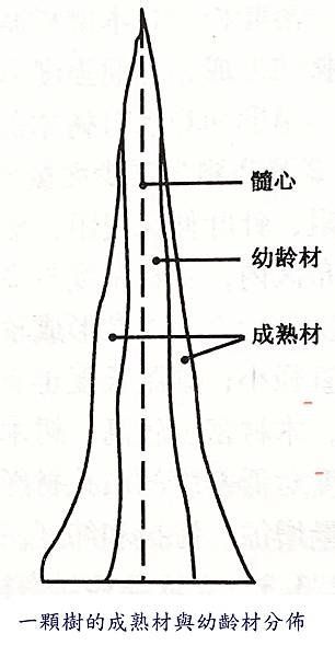 幼齡材又稱未成熟材