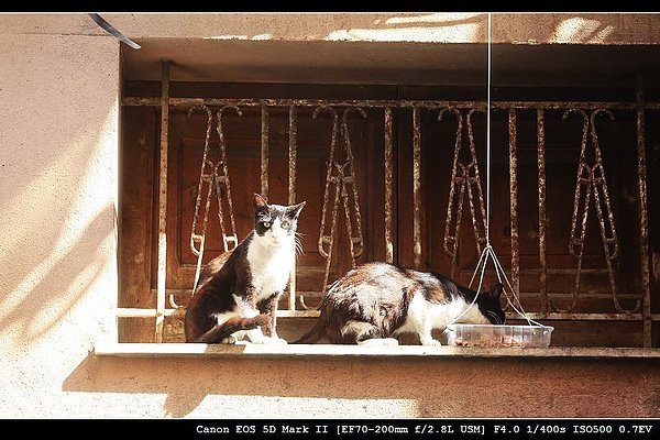 nEO_IMG_IMG_2611.jpg
