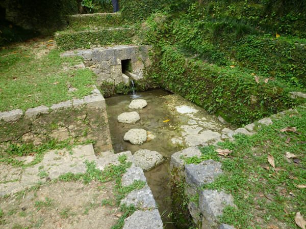 P1030188.jpg
