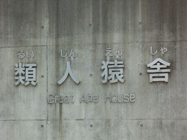 京都P1090915