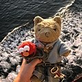 DSCN7849.JPG