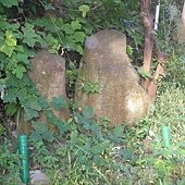 DSCN8039.JPG