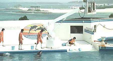 Dolphin Blue01.jpg