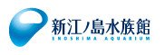 enoshima.jpg