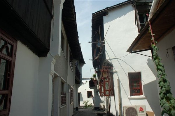 DSC_9372.JPG