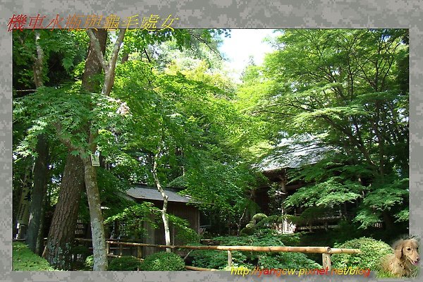 中尊寺3.jpg