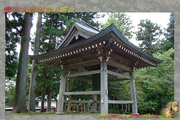 中尊寺7.jpg