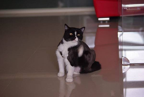 IMGP7367.JPG