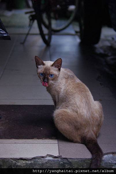 IMGP7639.JPG