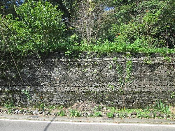 IMG_0605.JPG