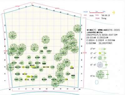 樹木位置-400.jpg