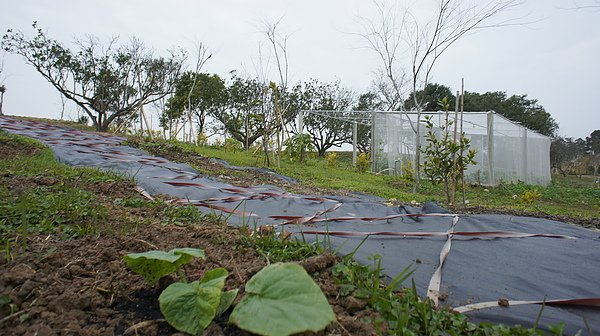 瓜_南瓜1000223- (1).JPG