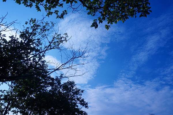 DSC08465.JPG