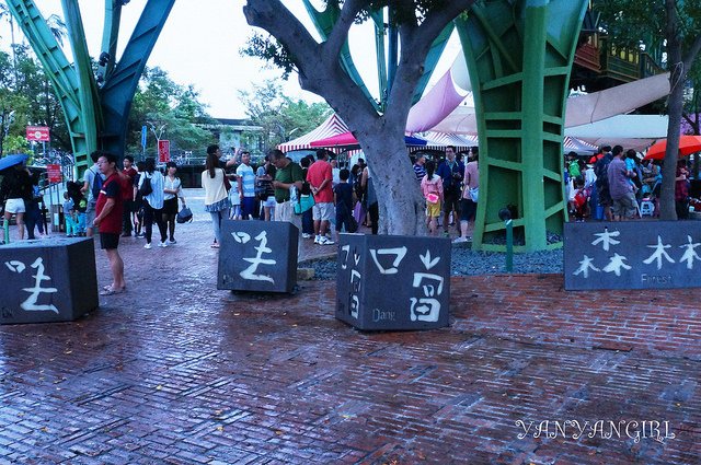 DSC06205