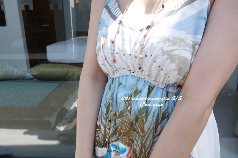 DSC04309