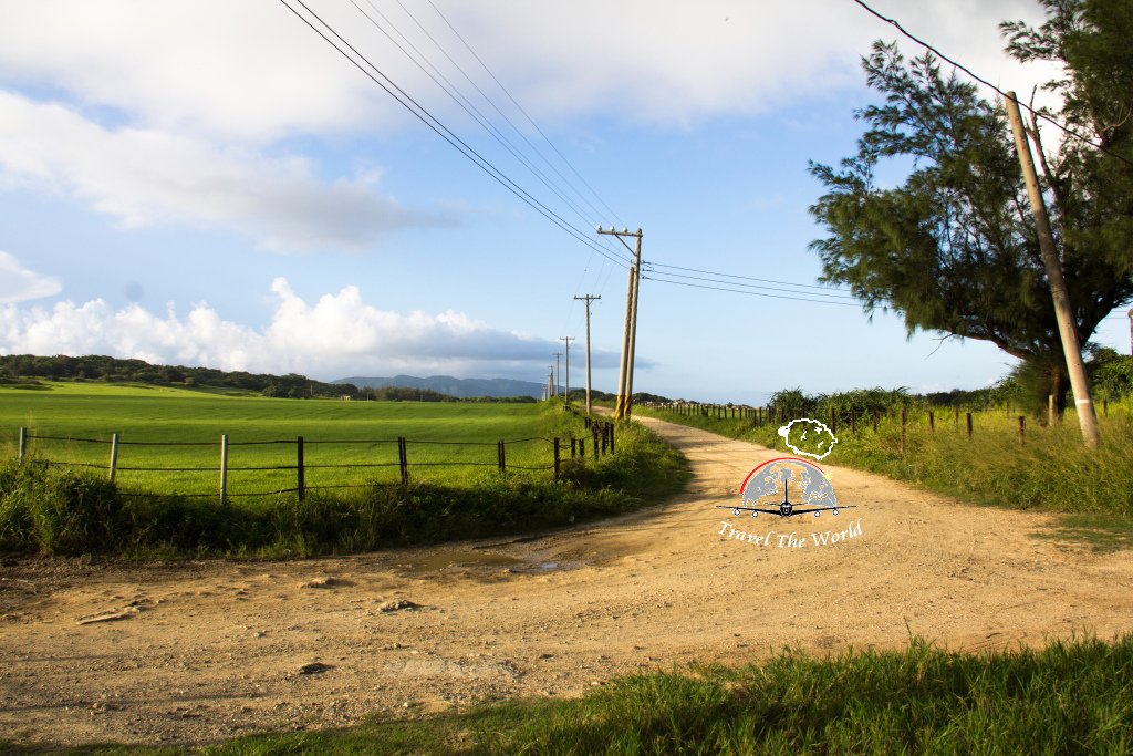 DPP_0017-1.jpg