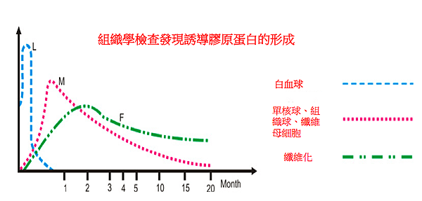 螢幕快照 2014-12-17 下午4.10.13