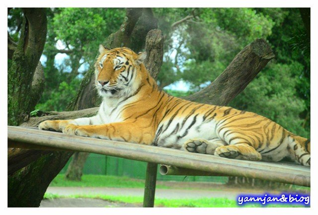 DSC_9795_640