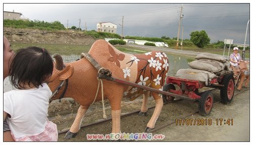 IMG_1337_500S.jpg