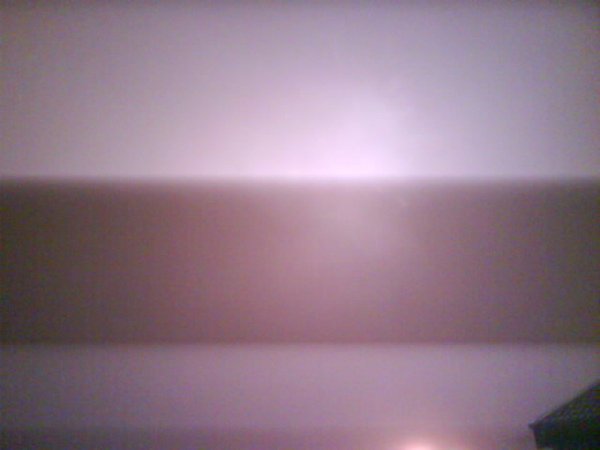 DSC01513.jpg