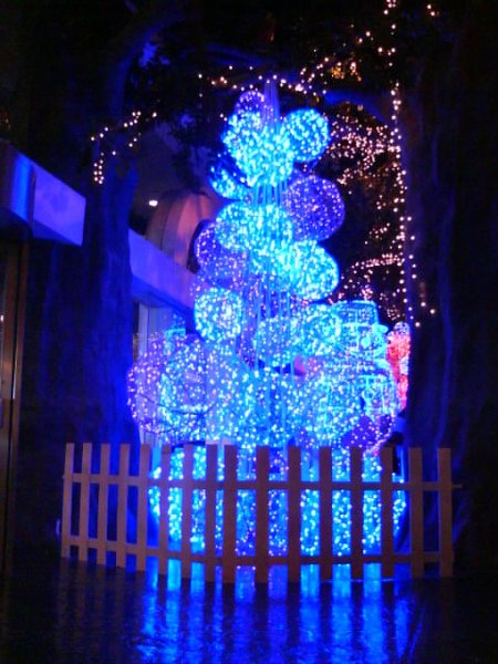 DSC01527.jpg