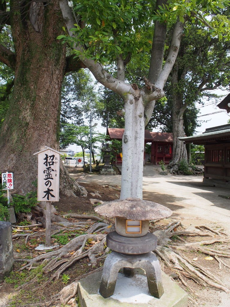 P5261357.JPG