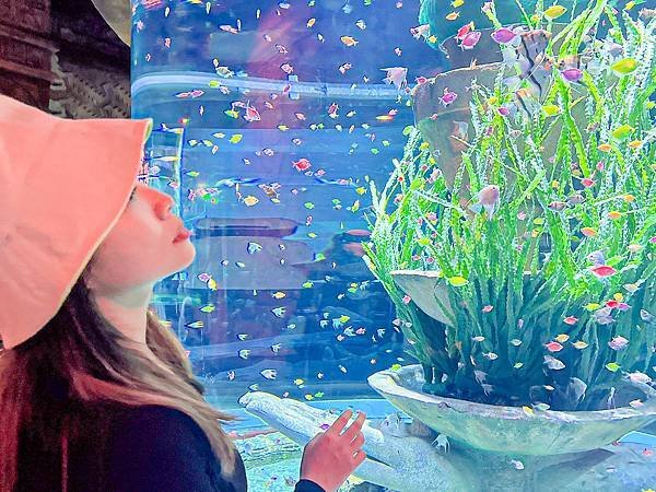 【東遊】越南｜越南最大水族館建築是「巨大海龜」太酷！越南版迪