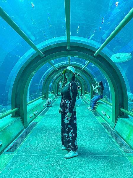 【東遊】越南｜越南最大水族館建築是「巨大海龜」太酷！越南版迪