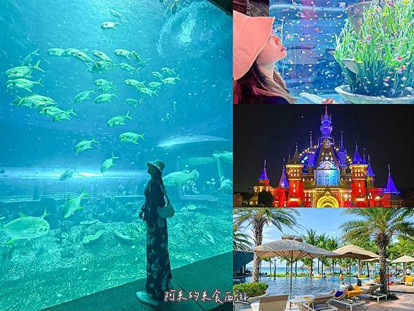 【東遊】越南｜越南最大水族館建築是「巨大海龜」太酷！越南版迪