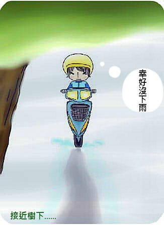 雨天樹雨2