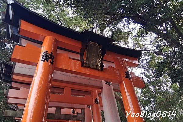 伏見稻荷神社 (8)