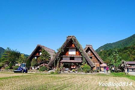 日本B_021.jpg