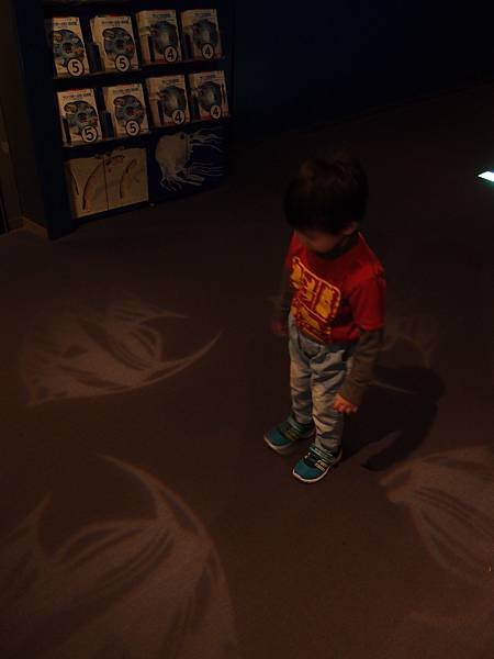 PC215586.JPG