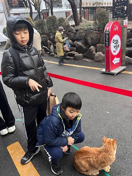 南韓 清洲 카페목간 Cafe Mokgan 特色餐廳 汗蒸