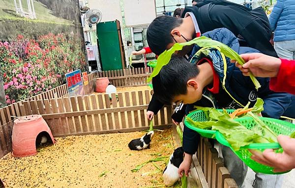 新北五股 準園休閒農場/ 大片草原 釣蝦 餵天竺鼠 ＤＩＹ 