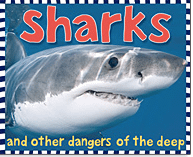 sharks
