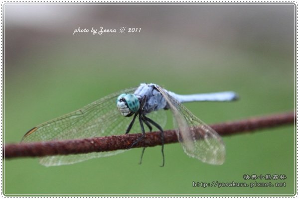 IMG_33160.JPG
