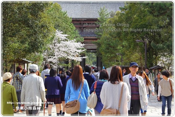 20130401_京阪神_1046