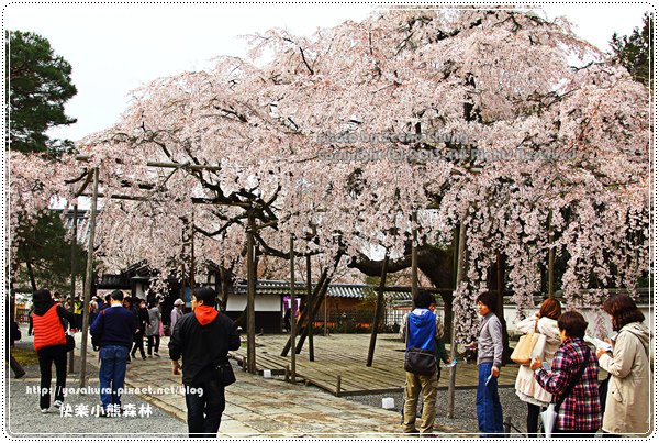 20130402_京阪神_0628