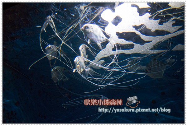 沖繩197.jpg