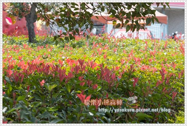初五058.jpg