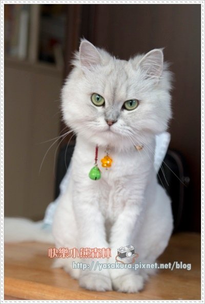 YUKI007.jpg