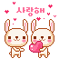16075ds3.gif