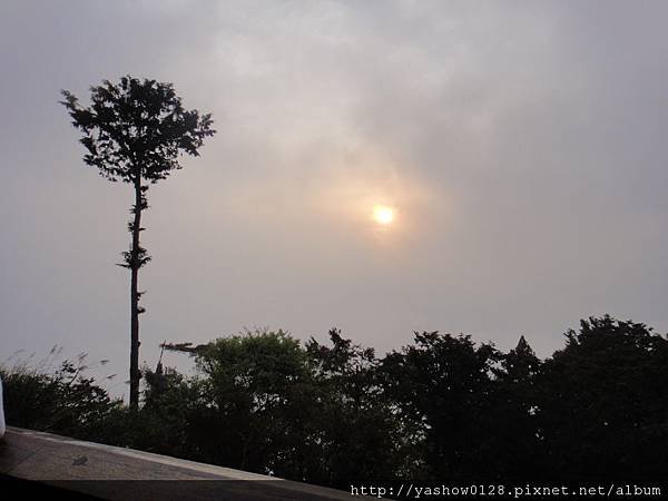 DSC04296