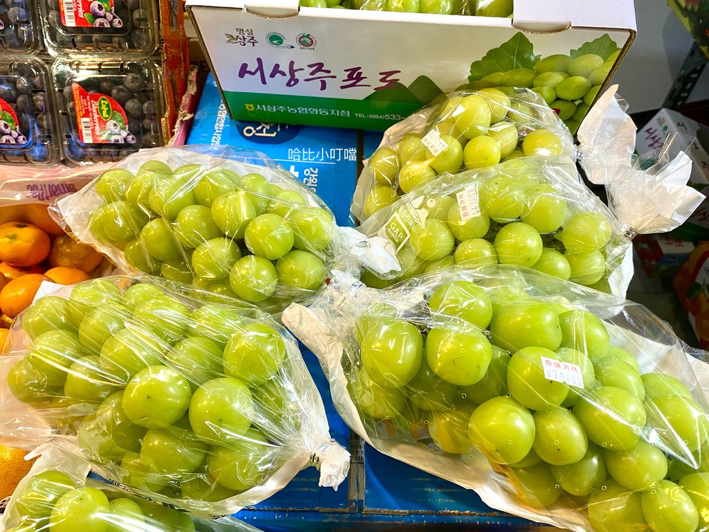 (未設定標題)
