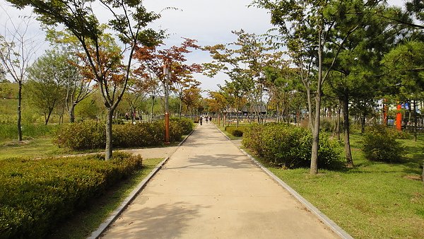 DSC01853.JPG