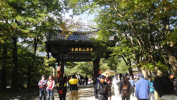 DSC02704.JPG