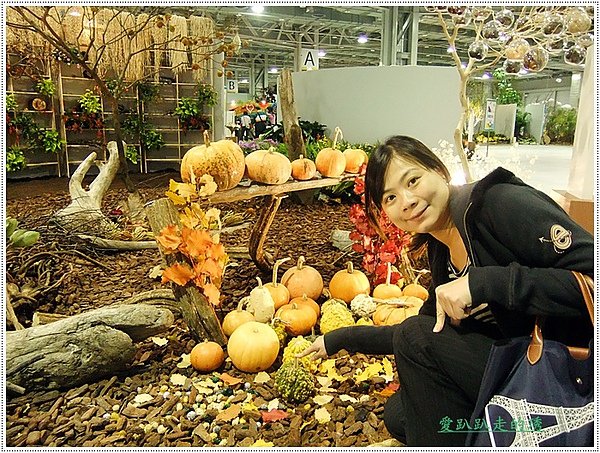 DSCF3949.JPG