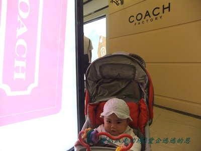 DSCF8611.JPG